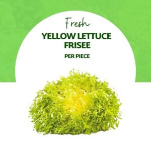 Yellow Lettuce Frisee