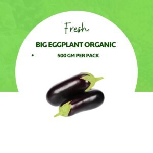 Big Eggplant Organic