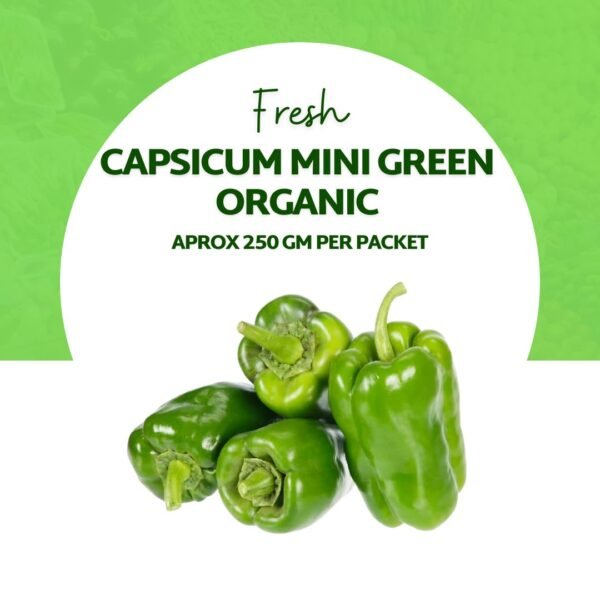 Capsicum Mini Green Organic