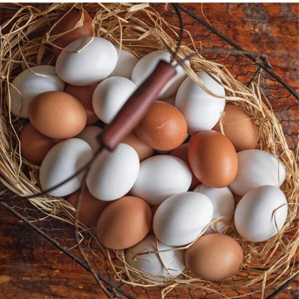 Fresh Local Eggs - Image 2