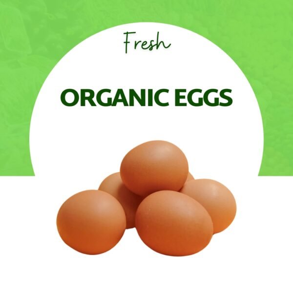 Organic Eggs