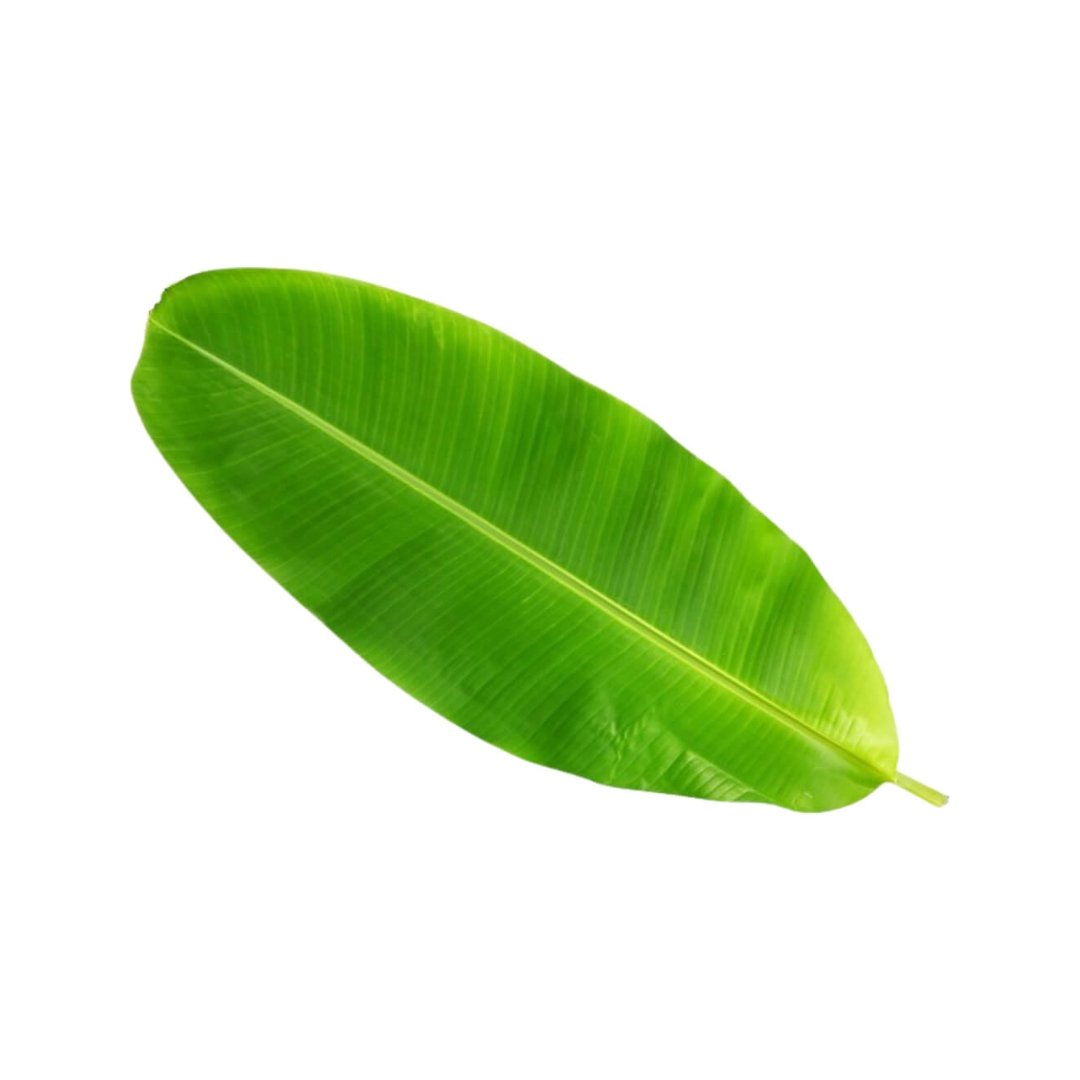 Banana Leaf - Image 2