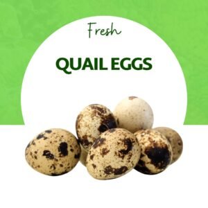 Quail Eggs