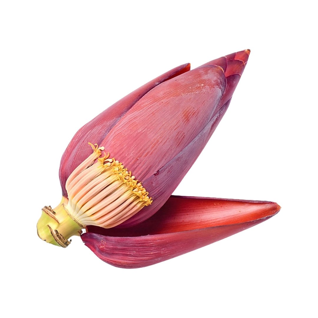 Banana Blossom Flower - Image 2