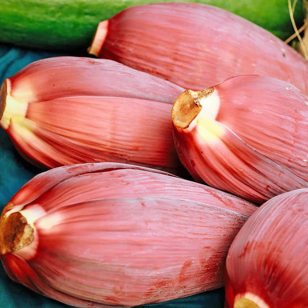 Banana Blossom Flower - Image 3