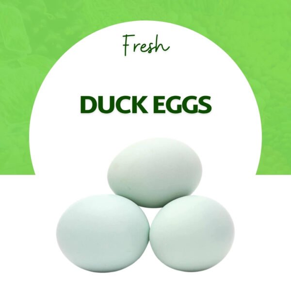 Duck Eggs