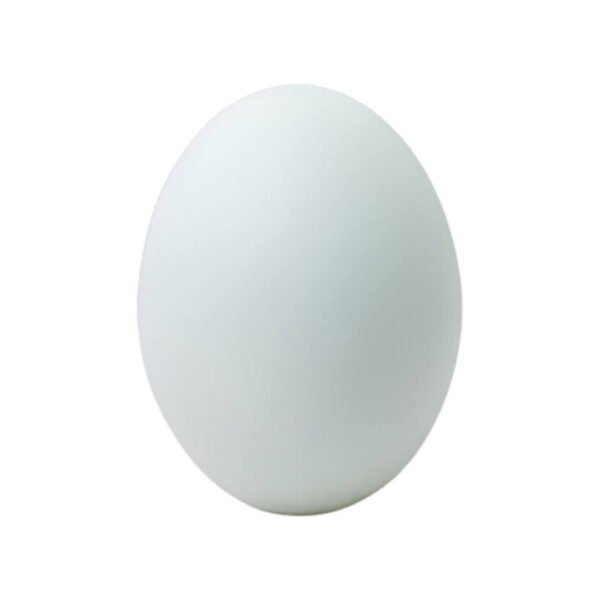 Duck Eggs - Image 2