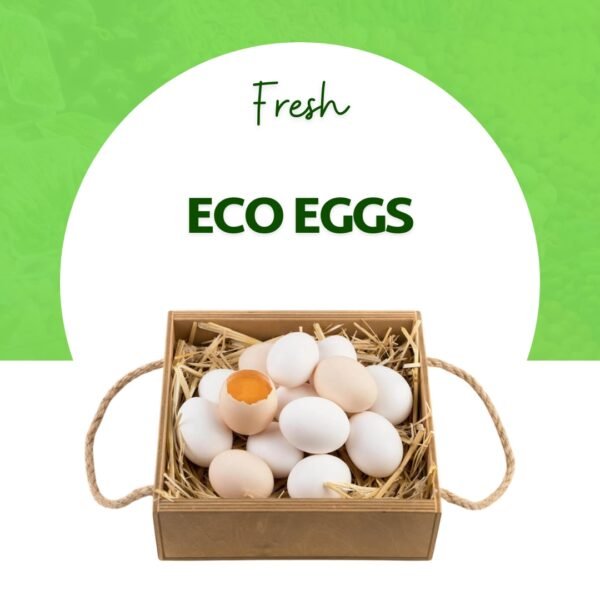 Eco Eggs