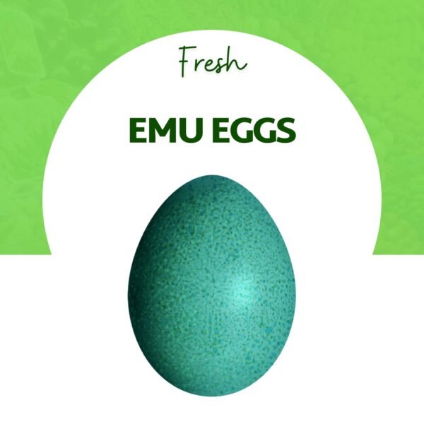 Emu Eggs