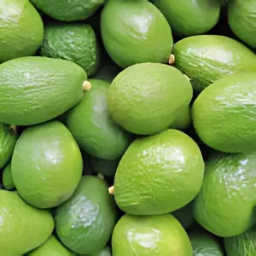 Avocado Kenya Sanitized - Image 3