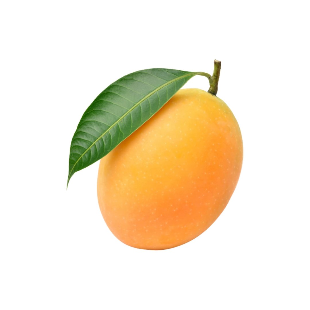 Marian Plum - Image 4