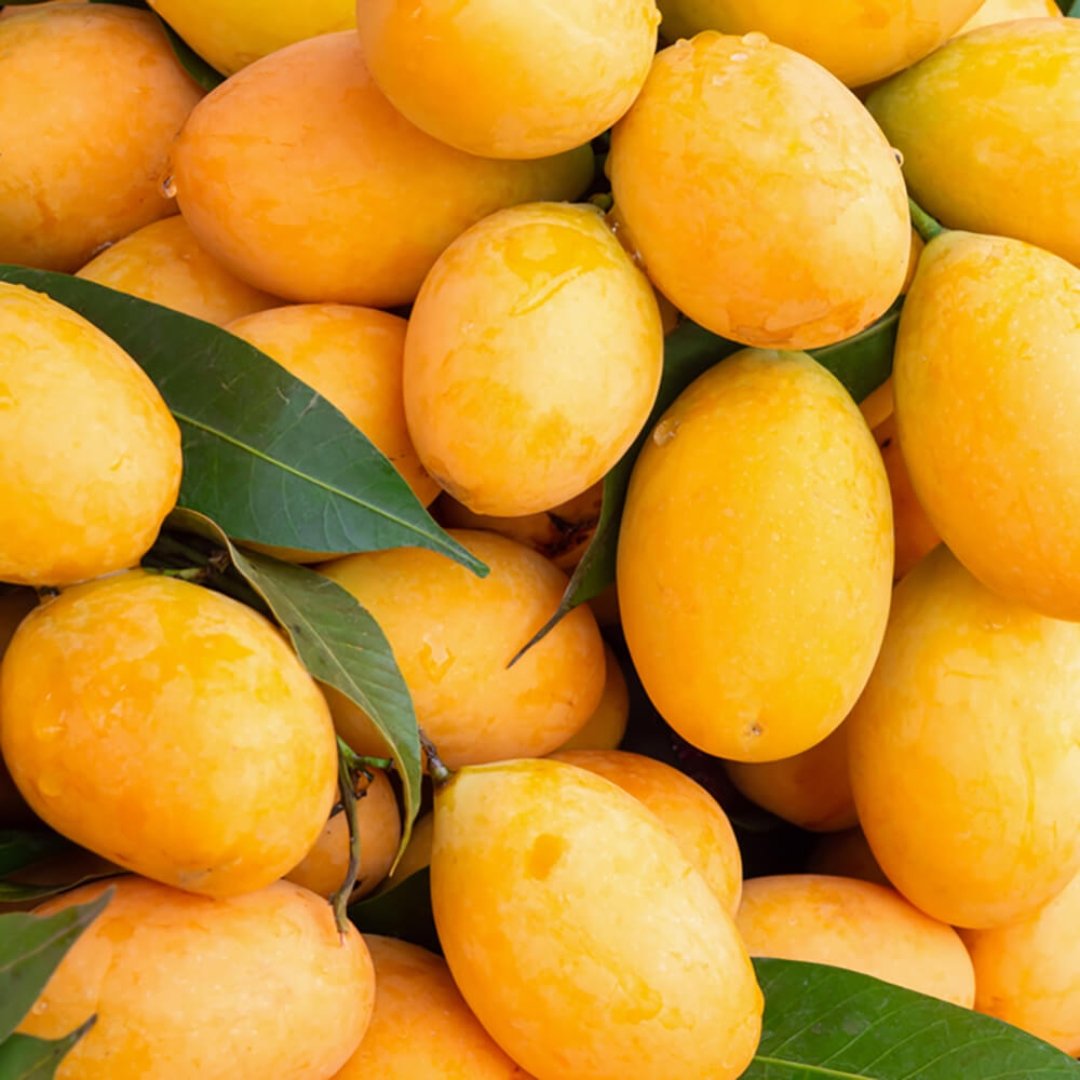 Marian Plum - Image 3