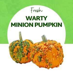 Warty Minion Pumpkin Halloween