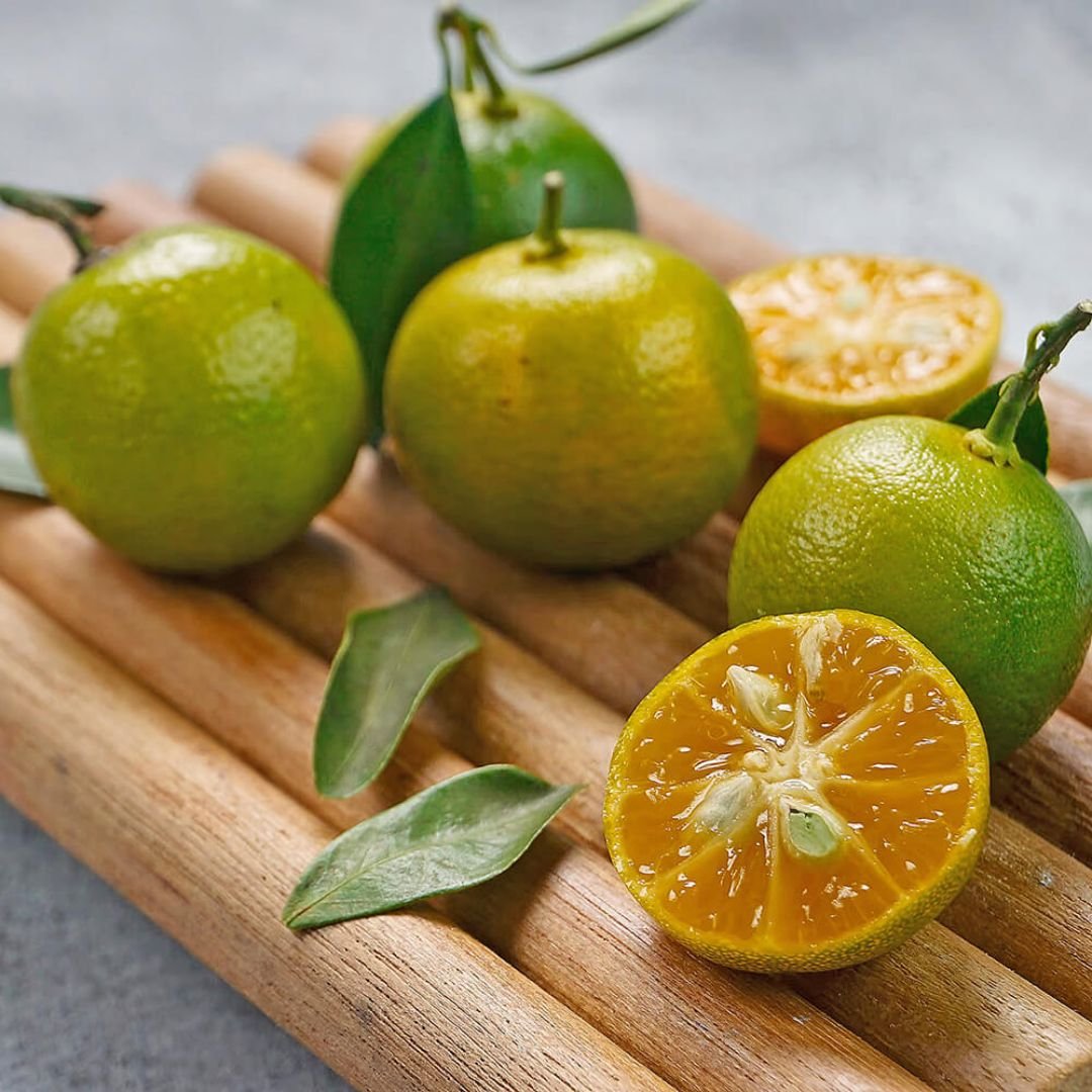 Calamansi - Image 2